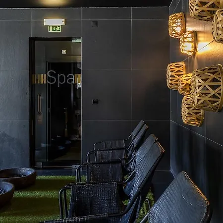 Evidencia Belverde Amora