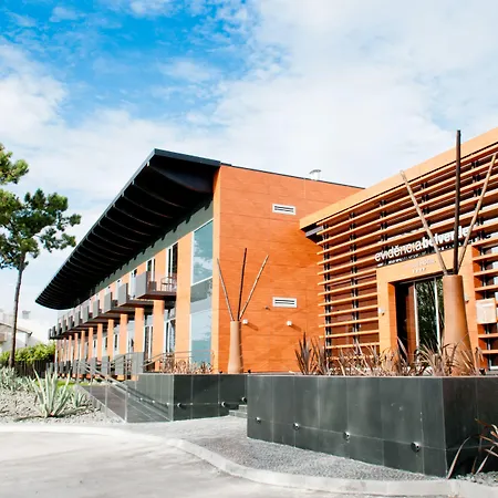 Evidencia Belverde 4* Amora