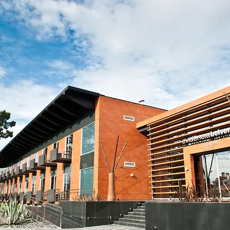 Evidencia Belverde 4*