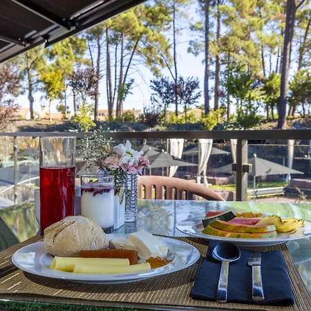 Evidencia Belverde 4*