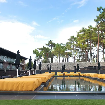 Evidencia Belverde 4* Amora