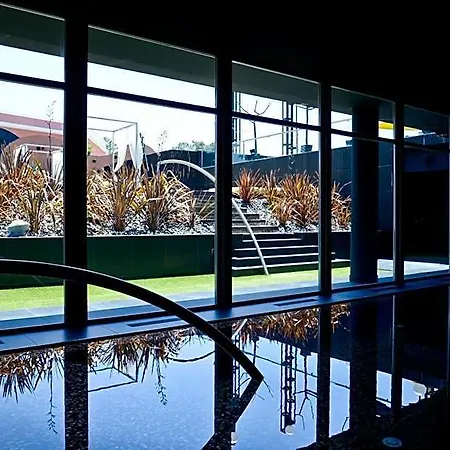 Evidencia Belverde 4* Amora