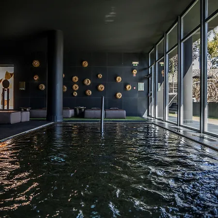 Evidencia Belverde 4*