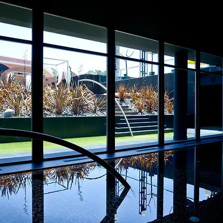 Evidencia Belverde Hotel Amora