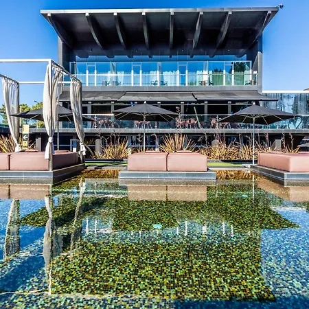 Evidencia Belverde Amora