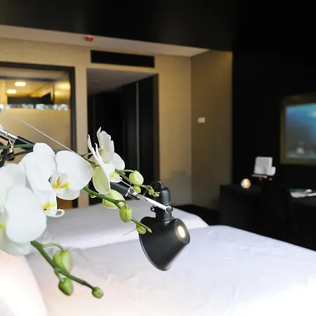 Evidencia Belverde Hotel