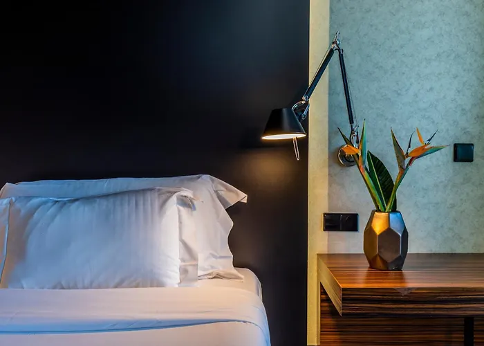 Evidencia Belverde Hotel