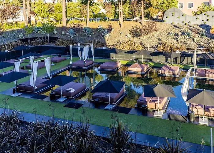 Evidencia Belverde 4* Amora