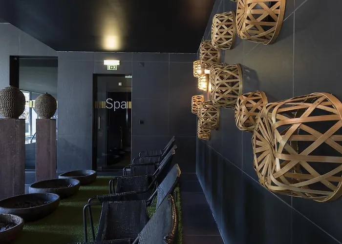 Evidencia Belverde 4* Amora