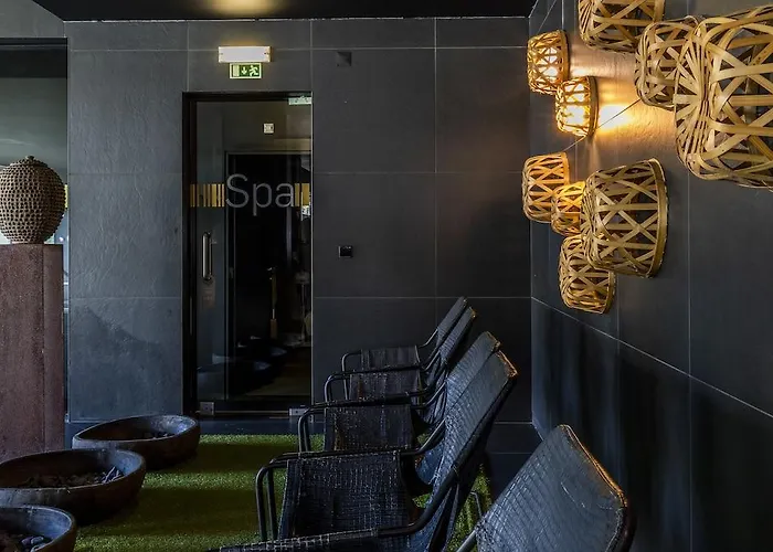 Evidencia Belverde Amora