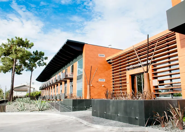 Evidencia Belverde 4* Amora