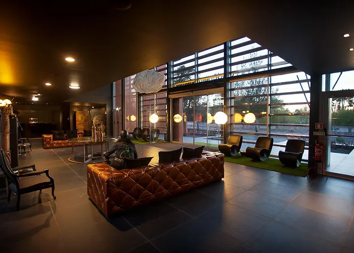 Evidencia Belverde Amora