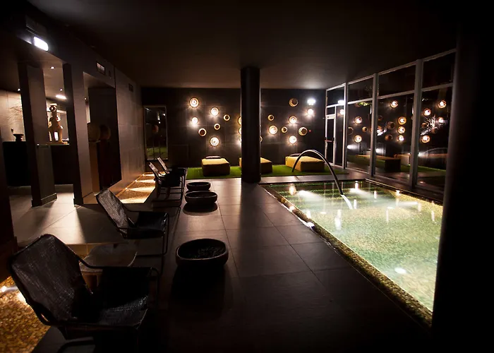 Evidencia Belverde 4*