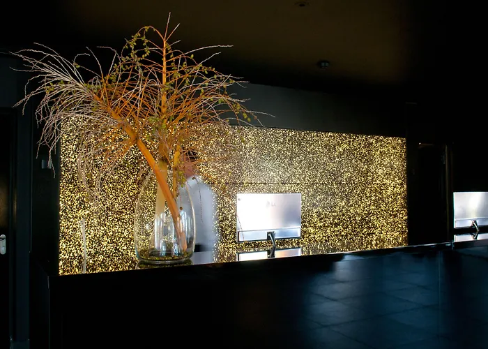 Evidencia Belverde Amora