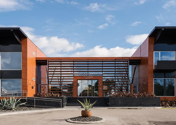 Evidencia Belverde Hotel Amora