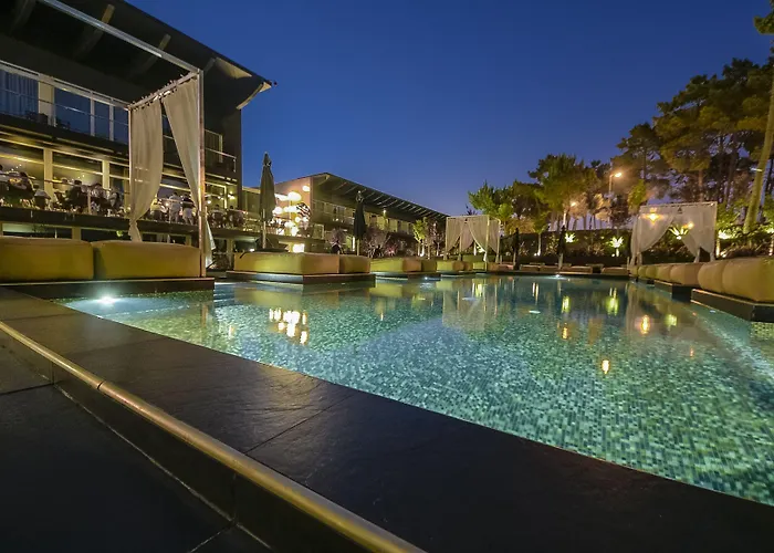 Evidencia Belverde 4* Amora