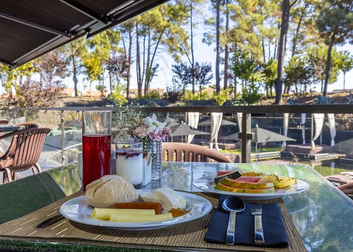 Evidencia Belverde 4*