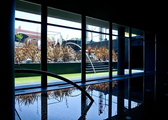 Evidencia Belverde Hotel Amora