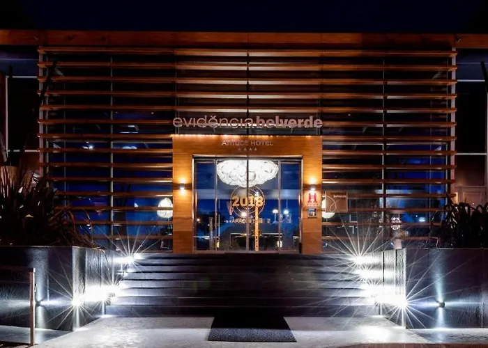 Evidencia Belverde Amora