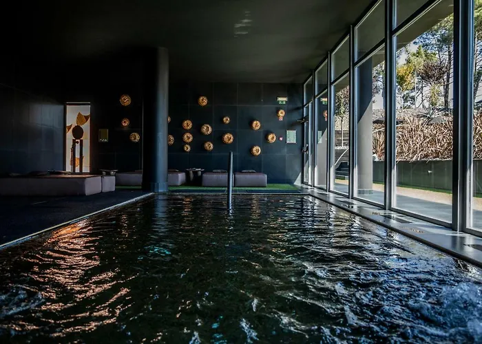 Evidencia Belverde Hotel Amora