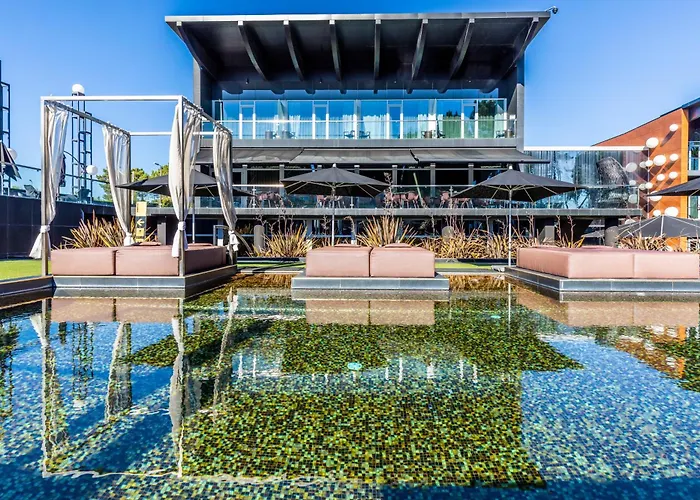 Evidencia Belverde Amora