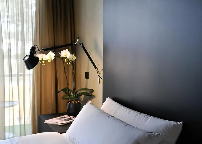 Evidencia Belverde Amora